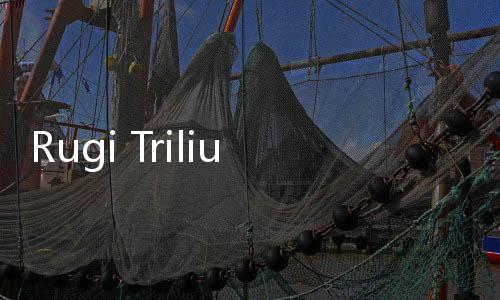 Rugi Triliunan, Garuda Indonesia Susun Langkah Pemulihan Lewat RUPS